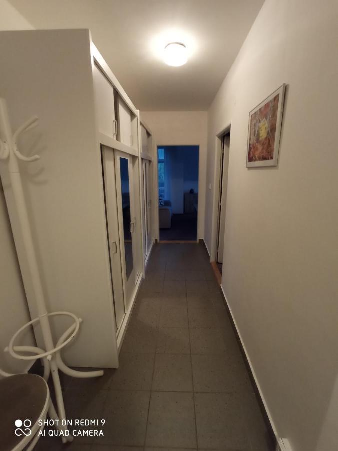 Apartman Violeta ハルラホフ エクステリア 写真